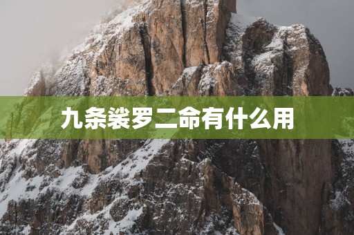九条裟罗二命有什么用