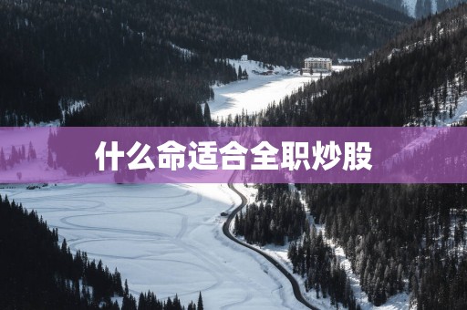 什么命适合全职炒股
