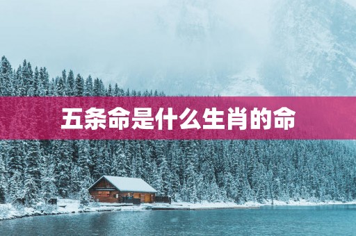 五条命是什么生肖的命
