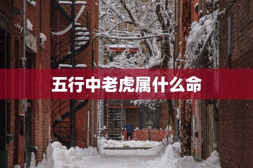 五行中老虎属什么命