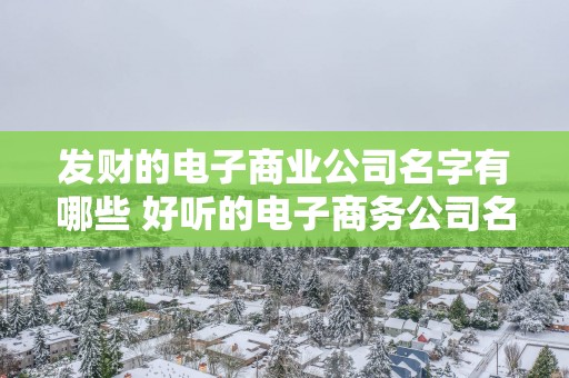 发财的电子商业公司名字有哪些 好听的电子商务公司名字