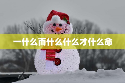 一什么而什么什么才什么命