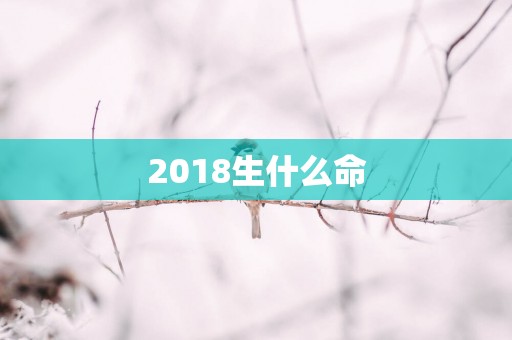 2018生什么命