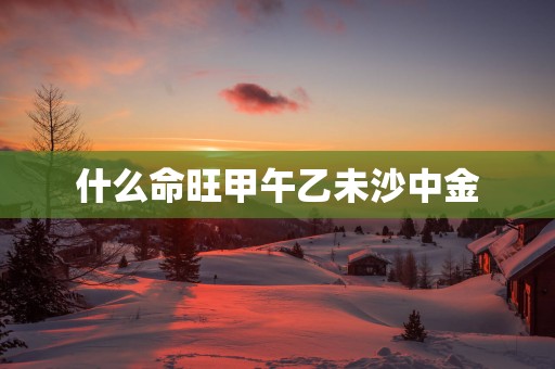 什么命旺甲午乙未沙中金