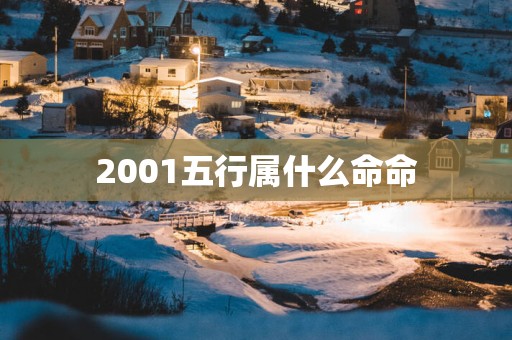 2001五行属什么命命