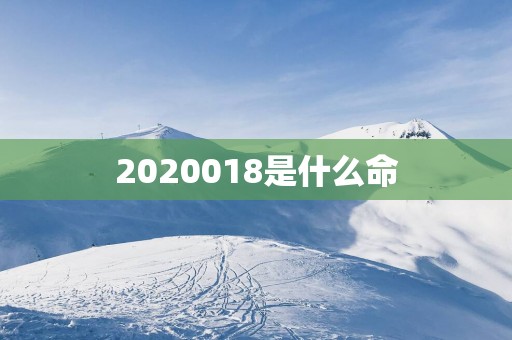 2025018是什么命