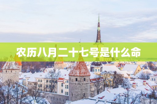 农历八月二十七号是什么命