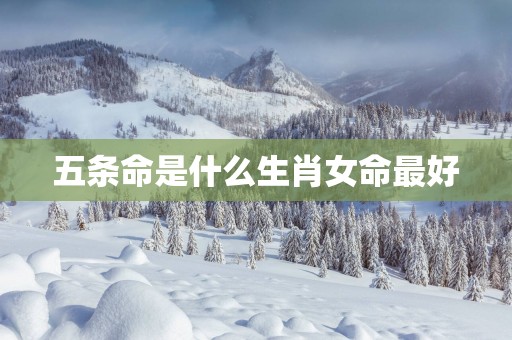 五条命是什么生肖女命最好