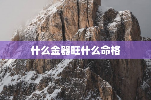 什么金器旺什么命格