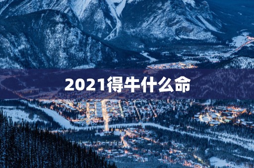 2025得牛什么命