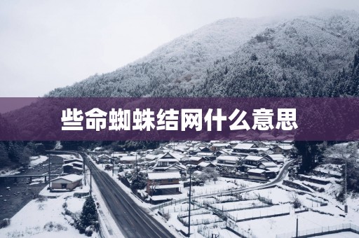 些命蜘蛛结网什么意思