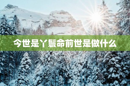 今世是丫鬟命前世是做什么