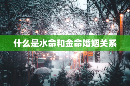 什么是水命和金命婚姻关系