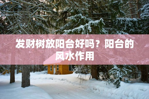 发财树放阳台好吗？阳台的风水作用