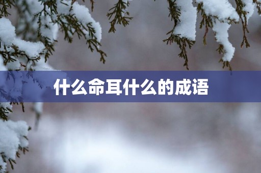 什么命耳什么的成语