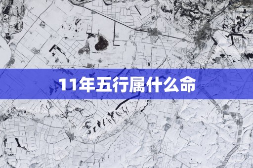 11年五行属什么命