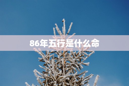 86年五行是什么命