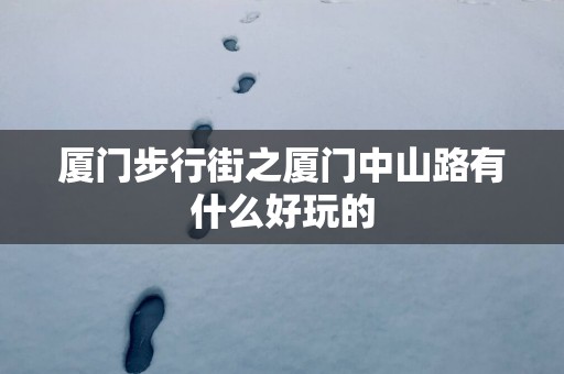 厦门步行街之厦门中山路有什么好玩的