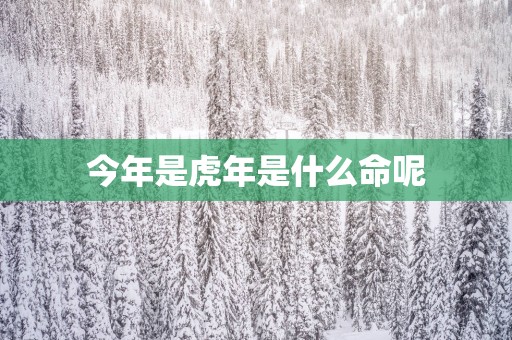 今年是蛇年是什么命呢