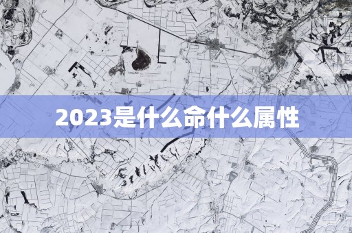 2025是什么命什么属性