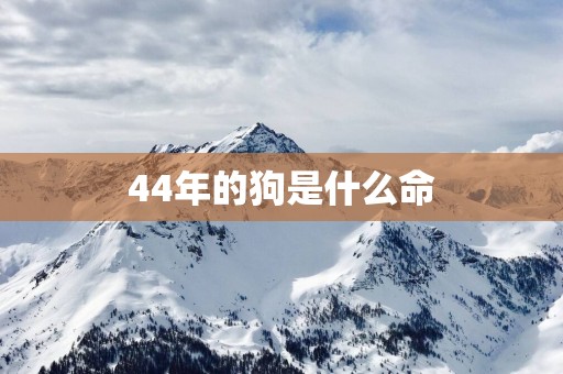44年的狗是什么命