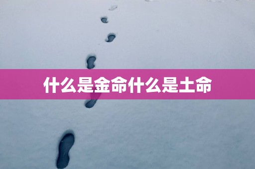 什么是金命什么是土命