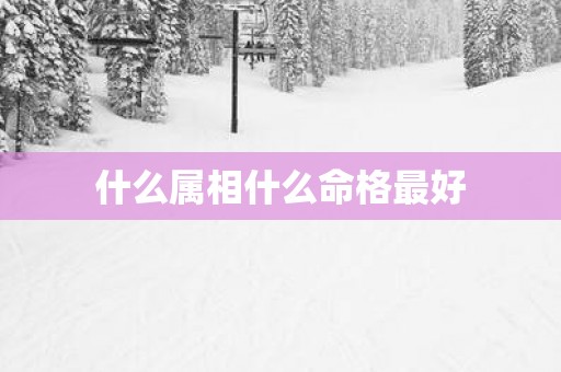 什么属相什么命格最好