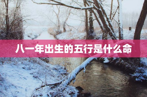 八一年出生的五行是什么命