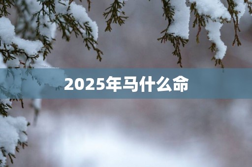 2025年马什么命