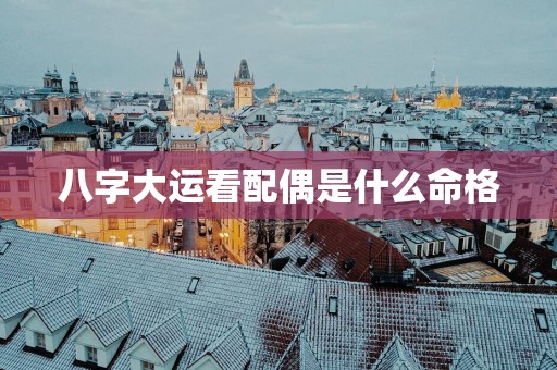 八字大运看配偶是什么命格