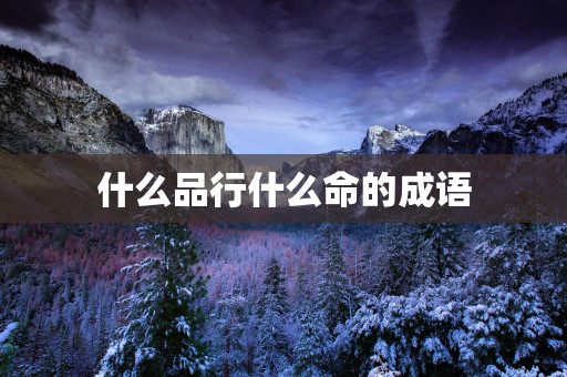 什么品行什么命的成语