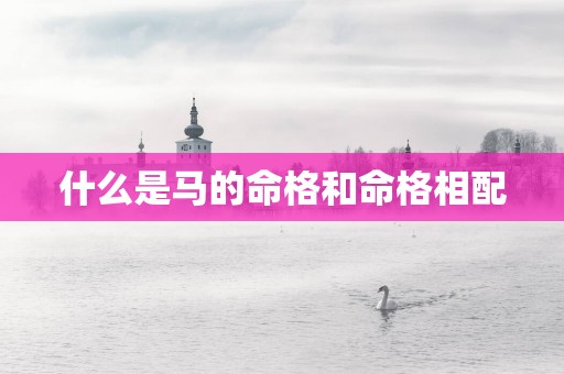 什么是马的命格和命格相配