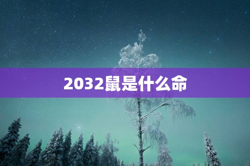 2032鼠是什么命