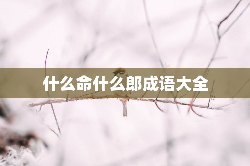 什么命什么郎成语大全