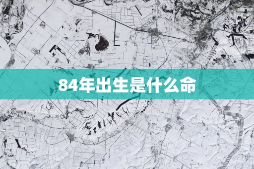 84年出生是什么命