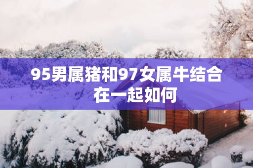 95男属猪和97女属牛结合    在一起如何