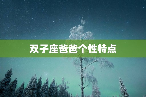 双子座爸爸个性特点