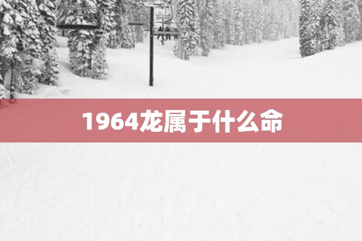 1964龙属于什么命