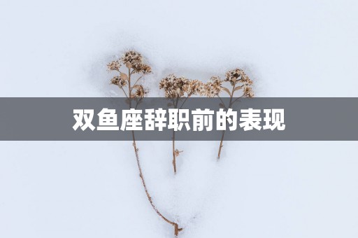 双鱼座辞职前的表现