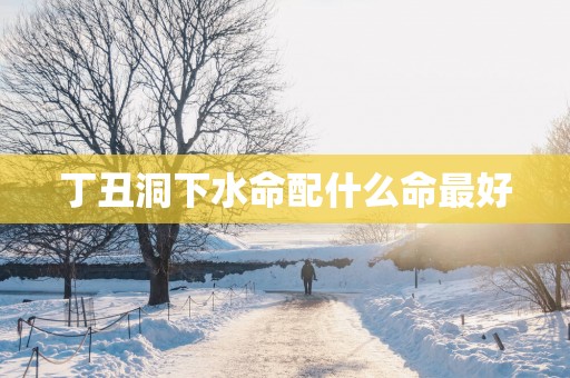 丁丑洞下水命配什么命最好