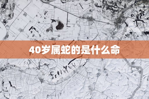 40岁属蛇的是什么命