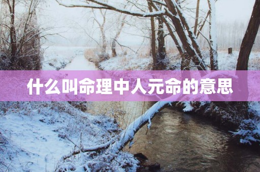 什么叫命理中人元命的意思