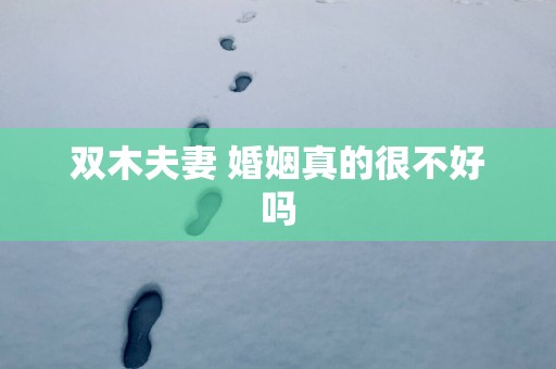 双木夫妻 婚姻真的很不好吗