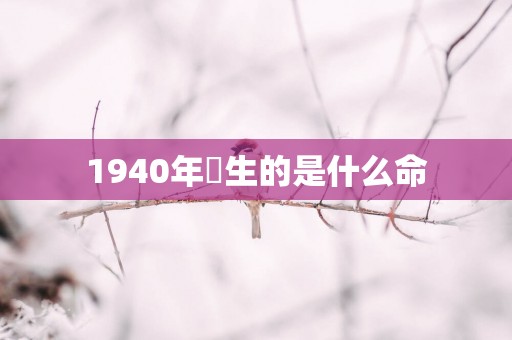 1940年岀生的是什么命