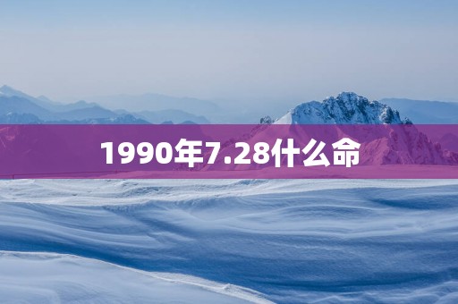 1990年7.28什么命