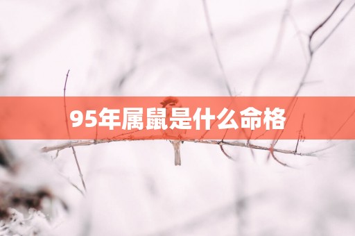 95年属鼠是什么命格