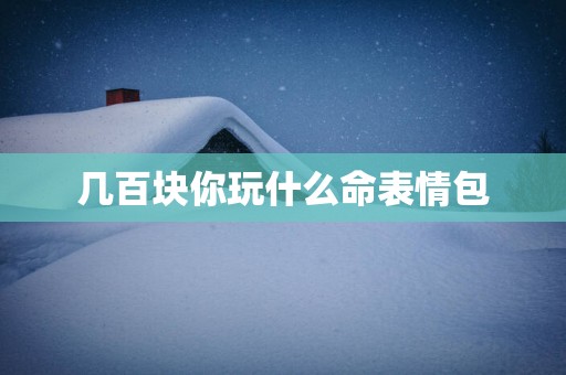 几百块你玩什么命表情包