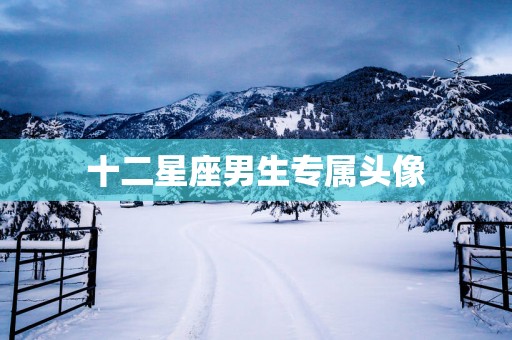 十二星座男生专属头像