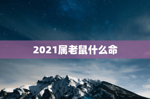 2021属老鼠什么命