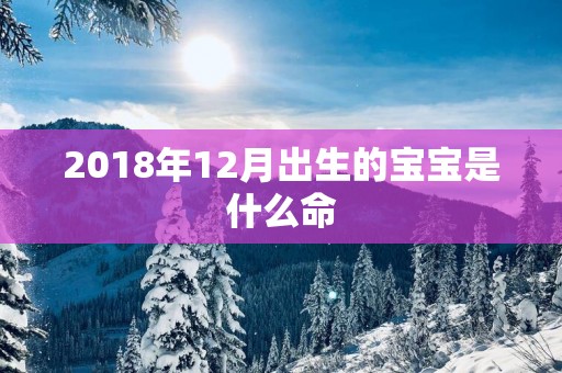 2018年12月出生的宝宝是什么命